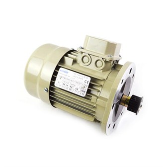 Elevator Door Motor MS7126B5